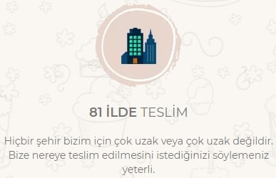 stanbul pastaneler pastaclar doum gn pastas pasta eitleri gnder yolla